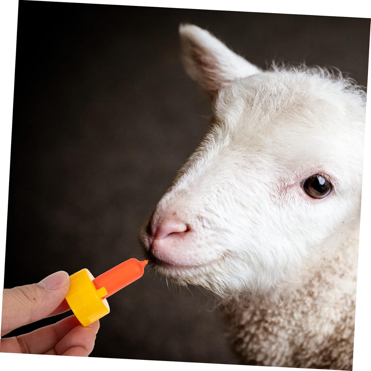 POPETPOP 5sets Lamb Nursing Bottle Nipples Lightweight Feeding Tools for Young Livestock Like Calves and Piglets Portable Design for Easy Outdoor Use 10pcs*5