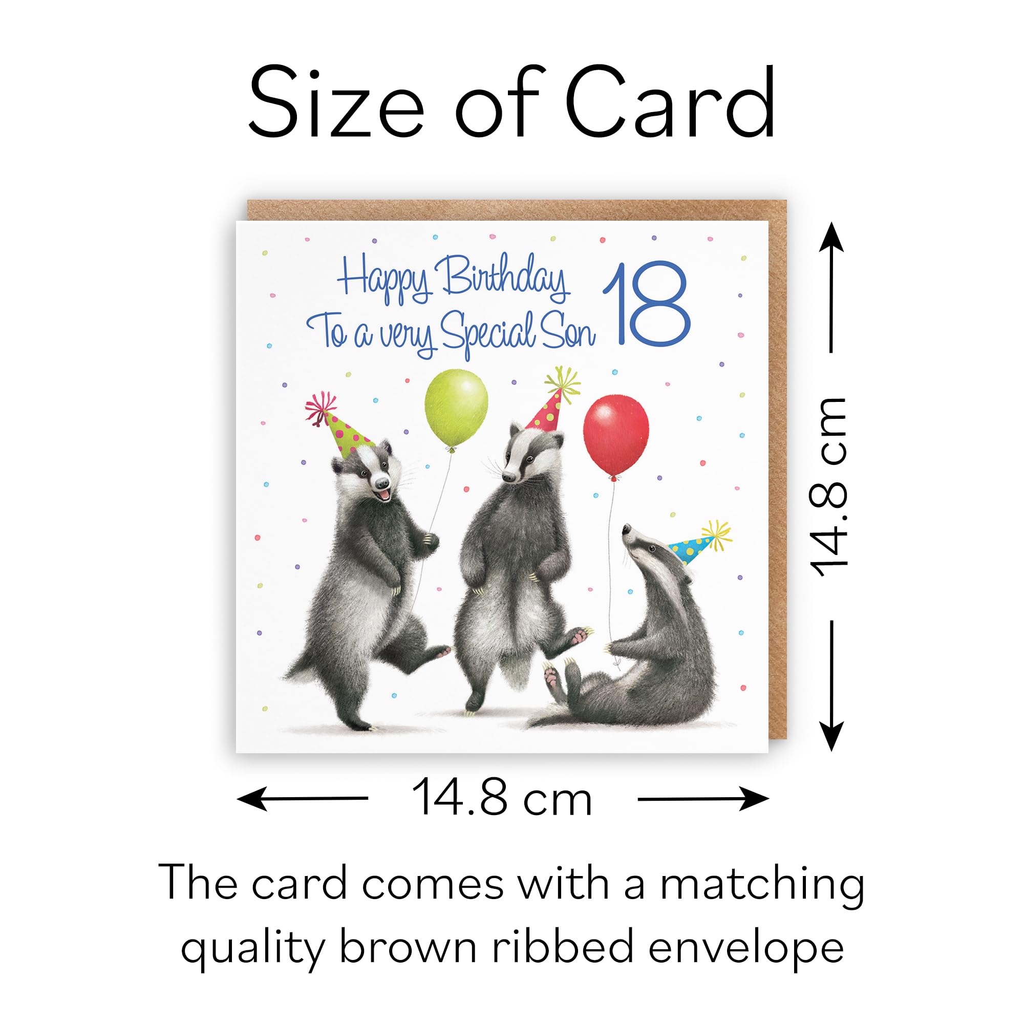 Biglietto Di Auguri Per 18° Compleanno Nipote – Design Rugby Di Milo's Gallery – Divertente E Di Classe - 3