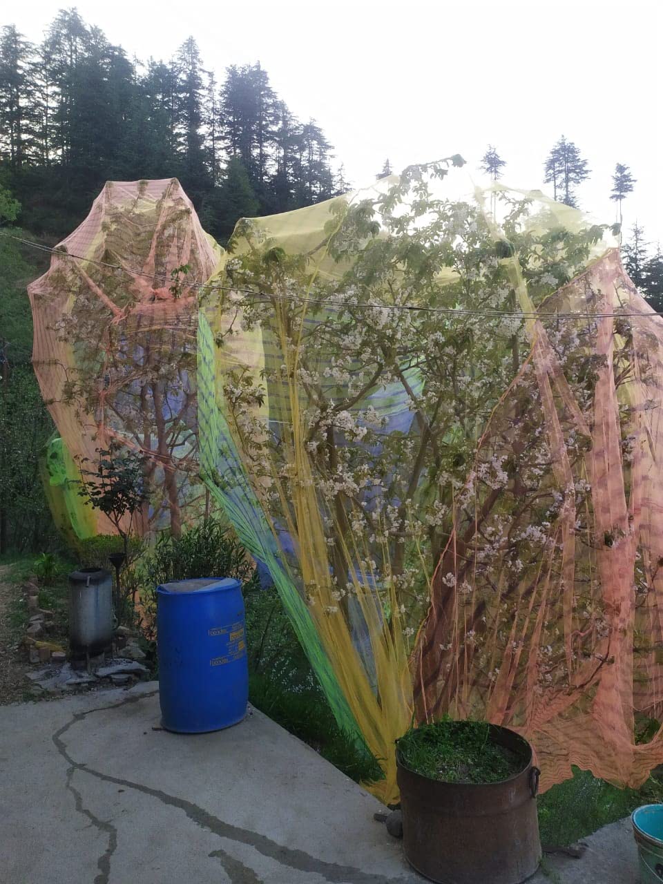 NETFLY® Plants Protection NETS, Horticulture Netting OR Vegetable/Fruits Support NET… (30 * 60 FT) (B09WR1481J) Amazon Price History, Amazon Price Tracker