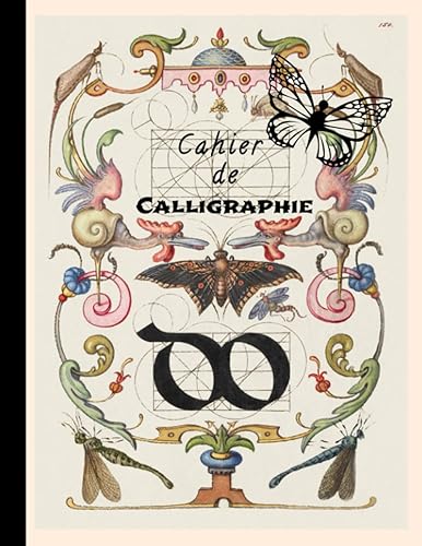 Cahier de CALLIGRAPHIE: Cahier d'exercices de 120 pages pour s’exercer à la calligraphie, Bloc-notes Grand Format 21,59 x 27,94 cm (8,5 x 11 ) pouces ... visuel intemporel de fleurs et d’oiseaux