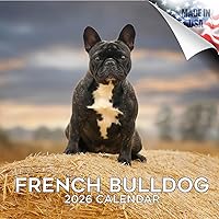 Vista 55 de Razas de Perros 2017