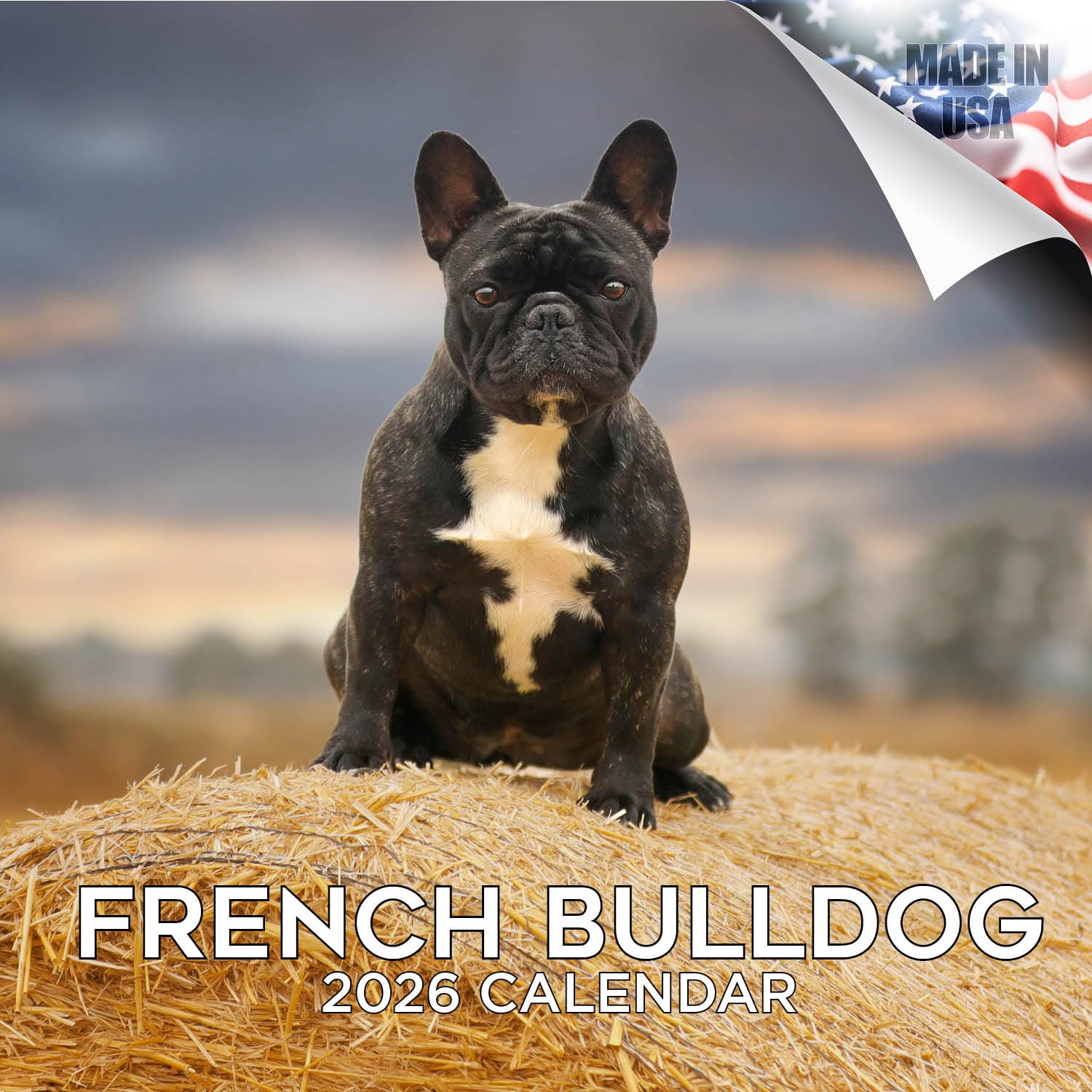 French Bulldog Calendar 2026 – 16-Month Dog Breed Wall Calendar by MegaCalendars – Large Daily Blocks, Thick No-Bleed Paper, Made in USA