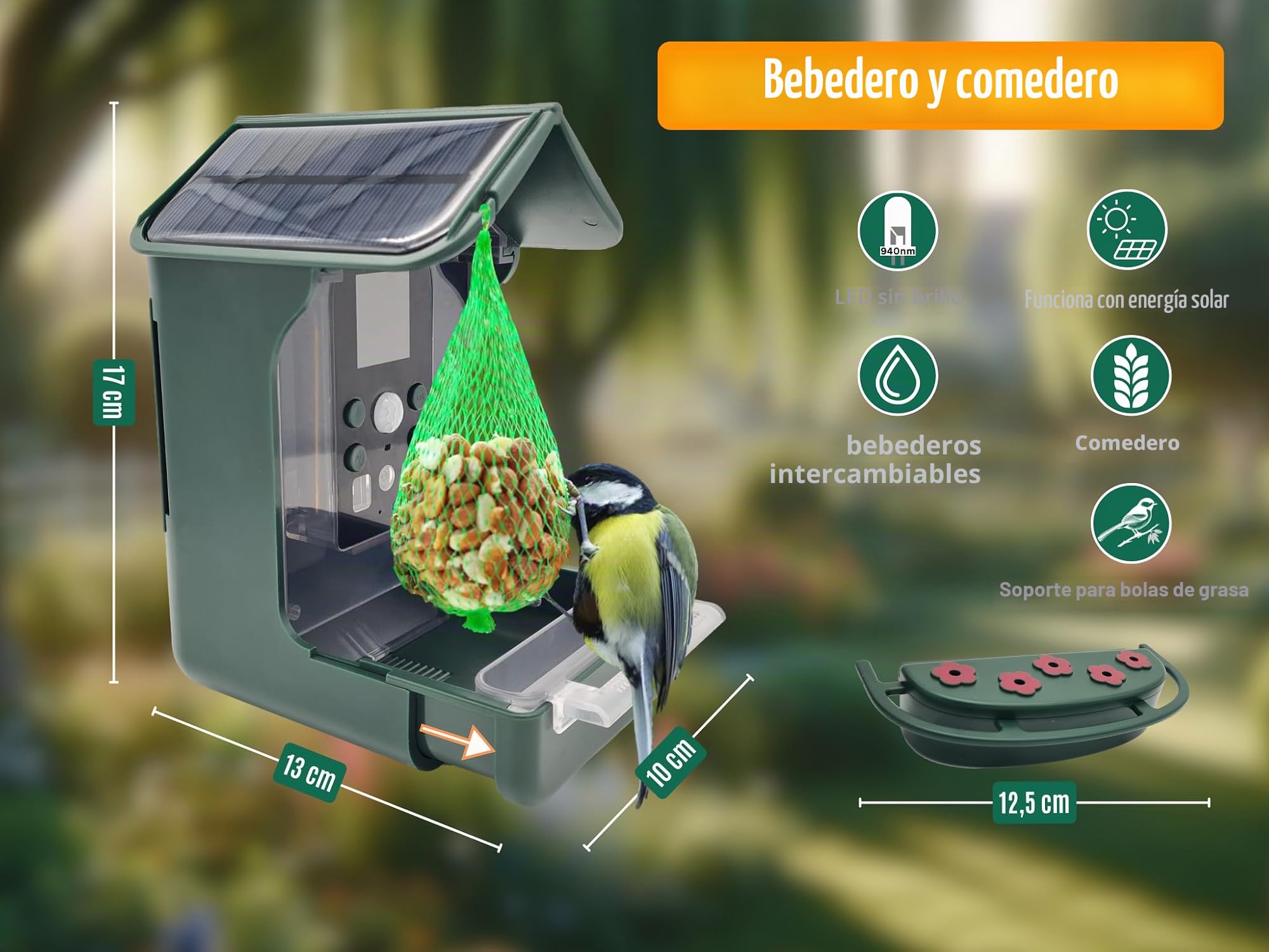 Berger & Schröter | Comedero para pájaros con cámara 1080P, Bebedero de Agua Solar de 940 NM IR LED automático/grabación de Fotos de Aves, detección de Movimiento, visión Nocturna