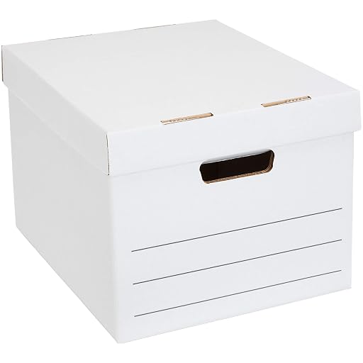 MockWares Basics Cardboard Storage Boxes 20-Pack
