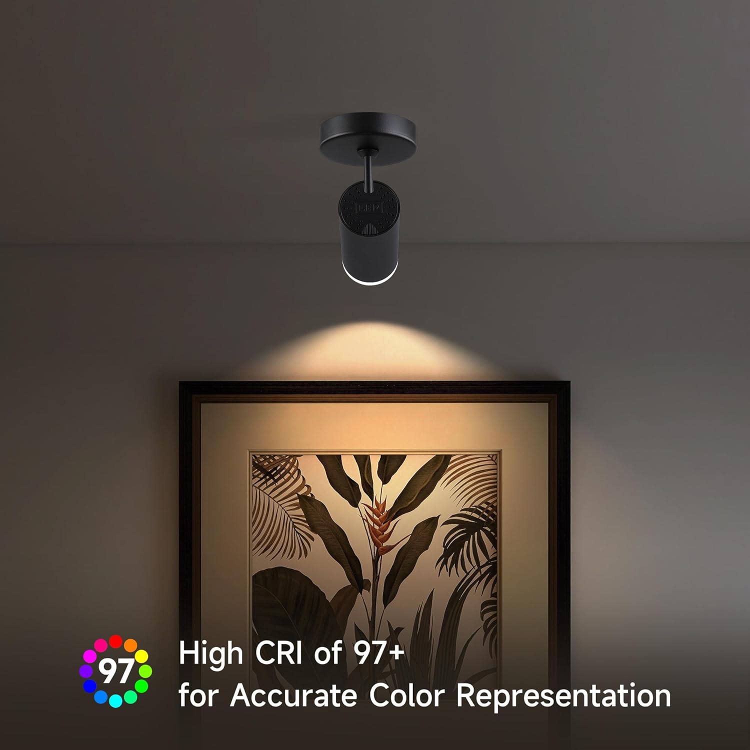 9W LED Ceiling Spotlight Indoor - Adjustable Surface Accent Lamp for Corridor, Living Room, Warm White 3000K, CRI 97, Anti-Glare Picture Artwork Spot Light, Black Finish