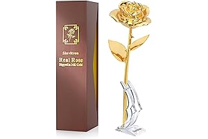 Gold Dipped Rose: A Timeless Symbol of Love in Rose Golden