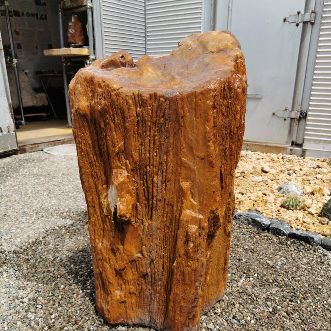 Amazon.co.jp: インドネシア産 珪化木 222キロ 木化石 庭石 石 鑑賞石