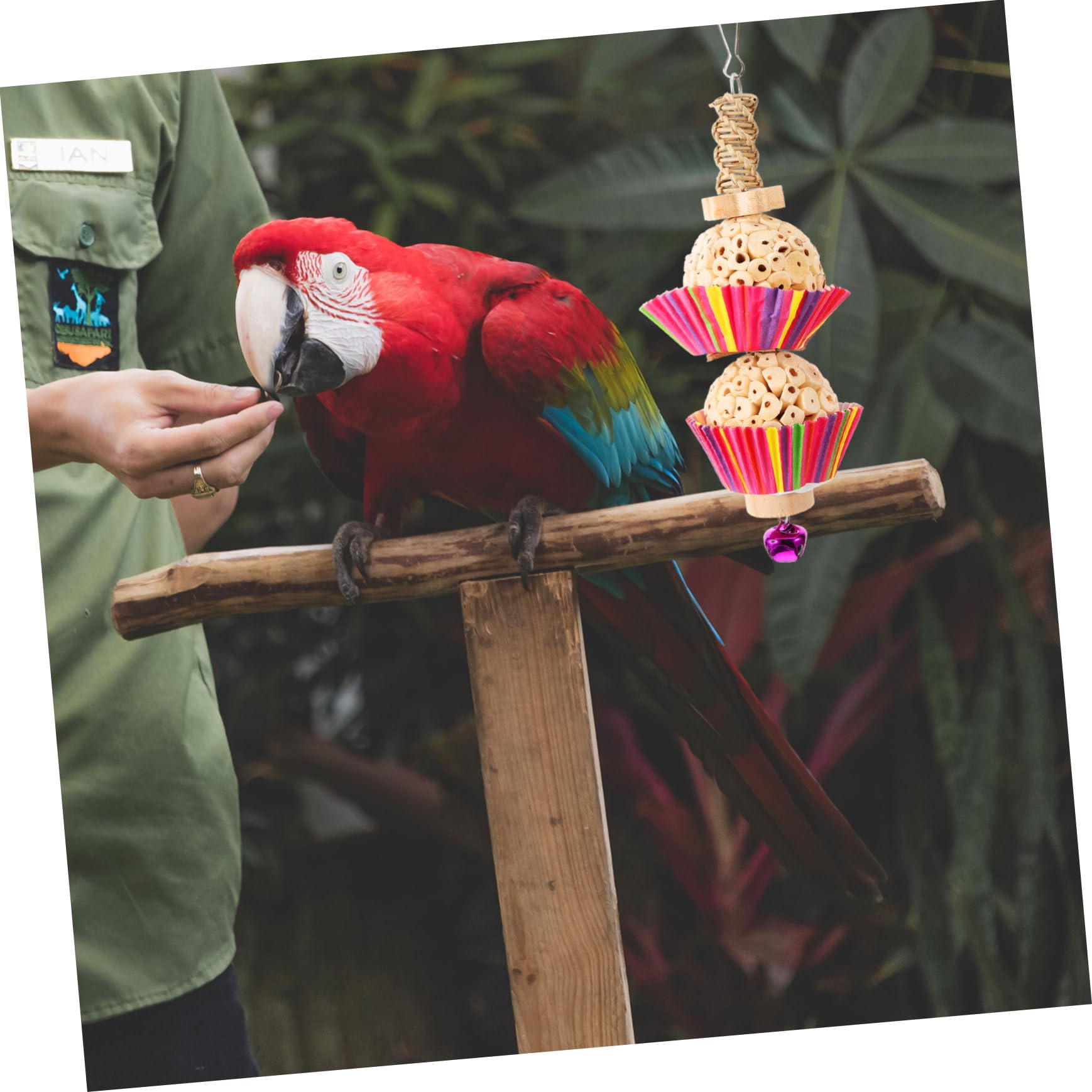 Toyvian Jouet à Mâcher pour Perroquet Jouet à Suspendre pour Oiseaux Balançoire pour Cage