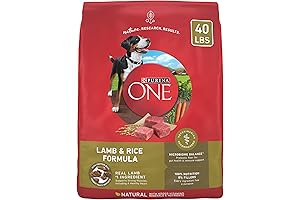 Purina Bright Minds Lamb and Rice Dry Dog Food