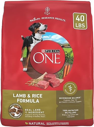 Vista 24 de Purina ONE SmartBlend - Alimento seco natural para perros adultos