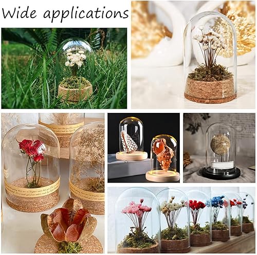 Miniatura 6 de PH PandaHall Cúpula de cristal transparente Cloche, vitrina con base de corcho, botellas de decoración para almacenamiento de flores, decoración de