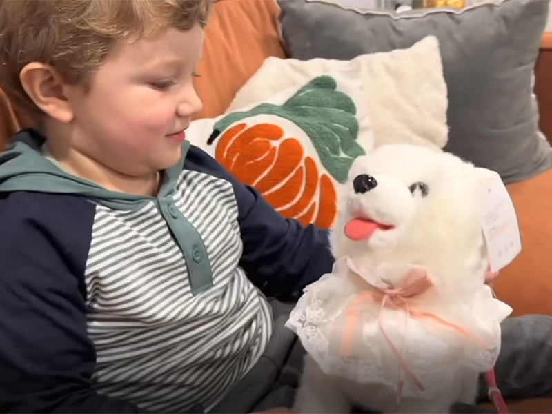 Chien Samoyède Interactif Qui Marche, Aboie, Répète Vos Paroles – Jouet Télécommandé Avec Langue Et Queue Qui Bougent