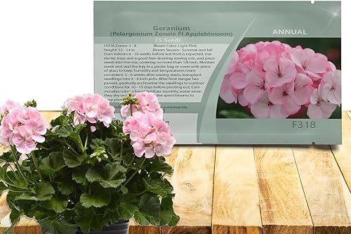 Outsidepride Plantas de flores de jardín de flor de manzano de geranio para contenedores cestas camas y cajas de ventana 25 semillas