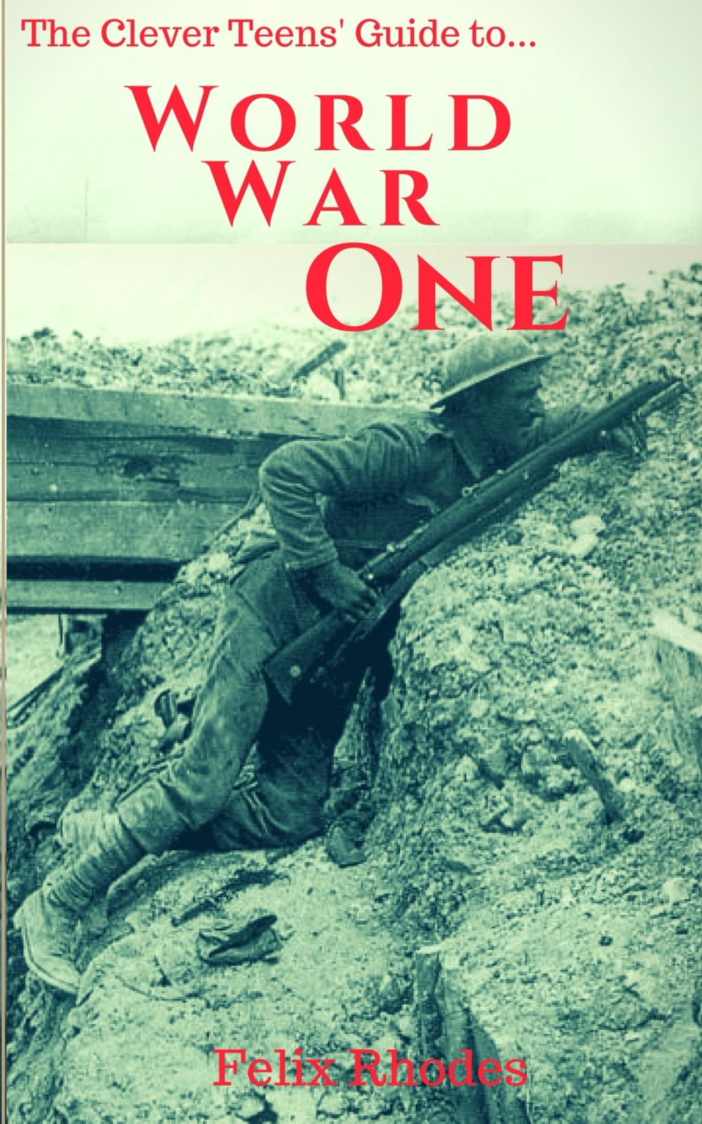 The Clever Teens' Guide to World War One