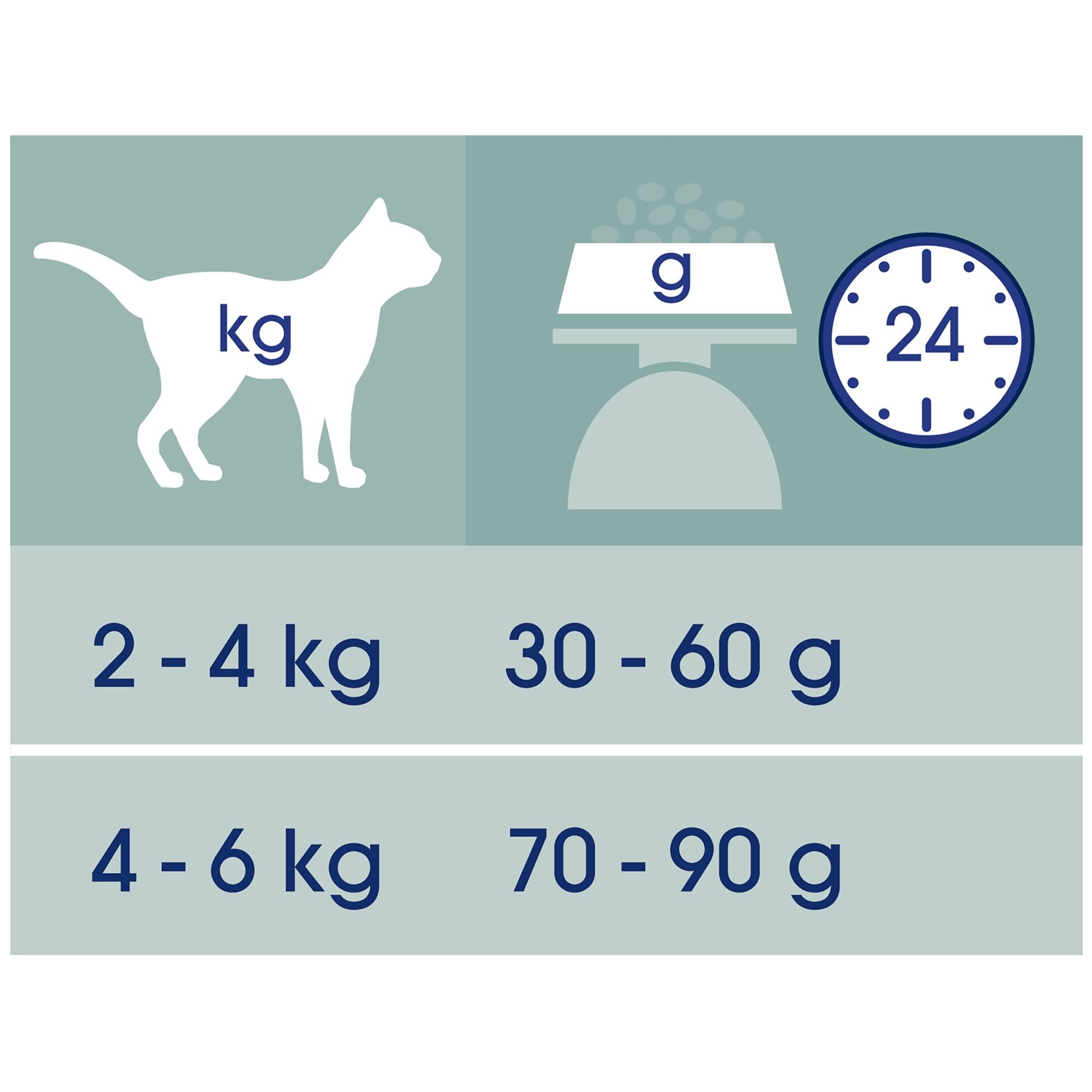 Purina Cat Chow Karma dla kota sterylizowana dla dorosłych z kurczakiem, 6 worków 1,5 kg