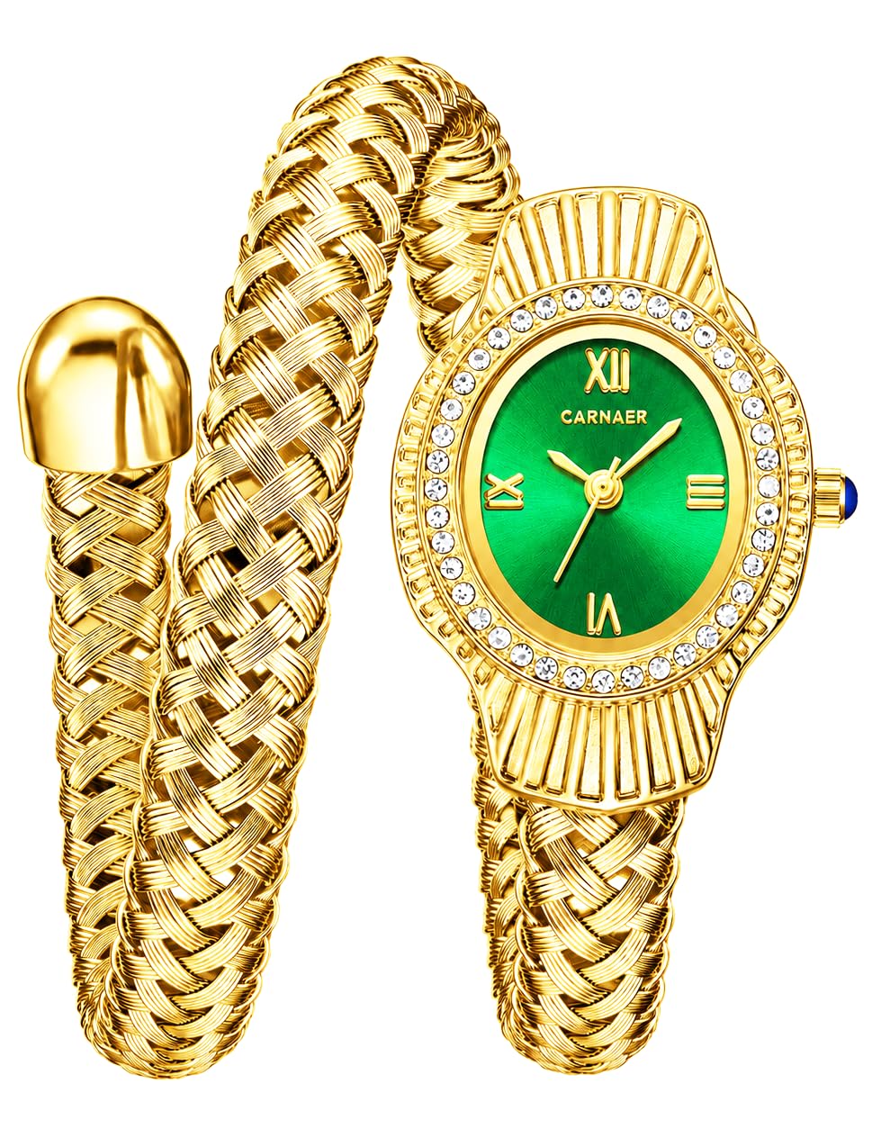Icon S4101 Serpenti-Inspired Oval Dial Women’s Analog Watch-image-46