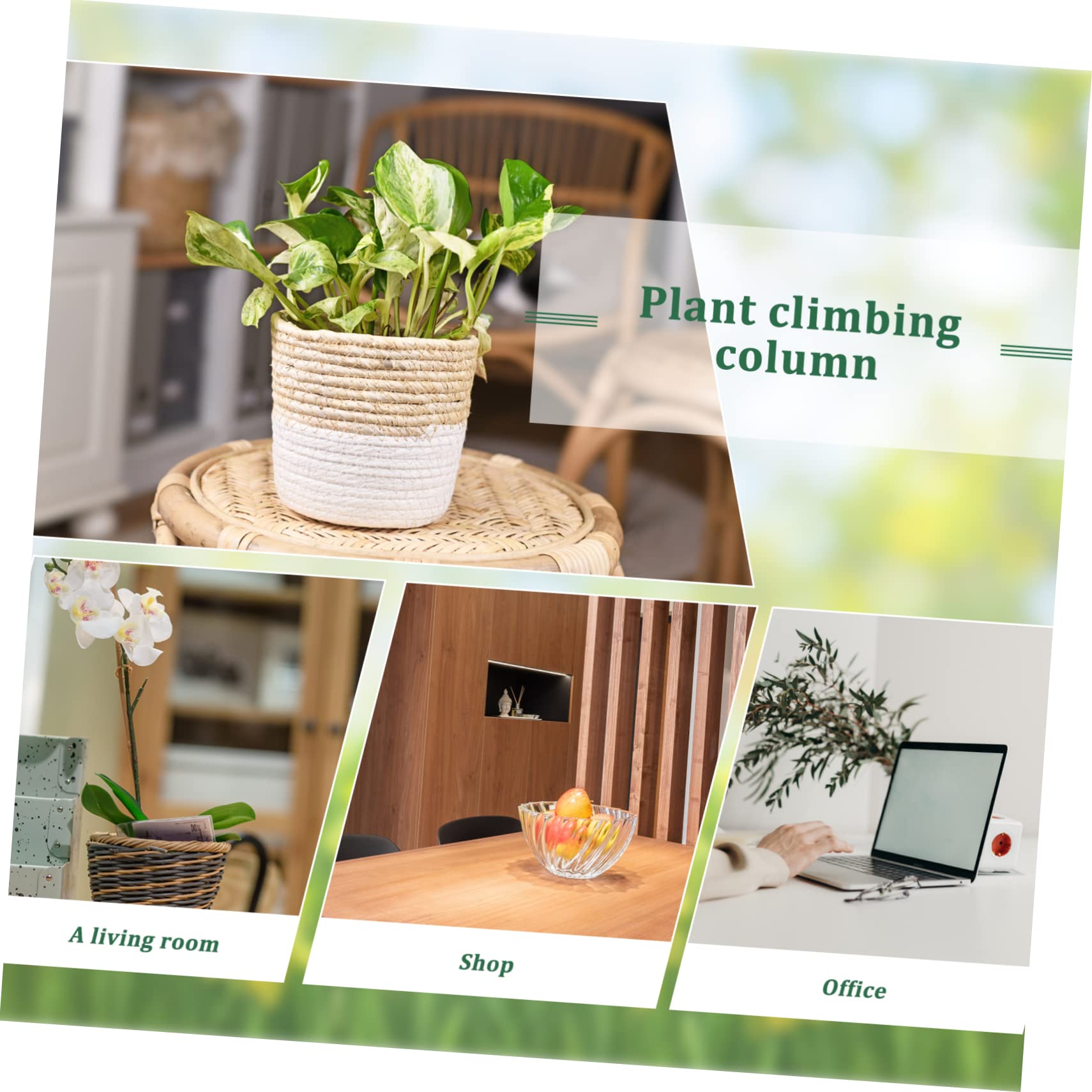 10pièces Poteaux De Mousse pour Plantes Grimpantes Supports Plastique pour Monstera Et Vignes Lot de Faciles à Installer Pots Intérieur