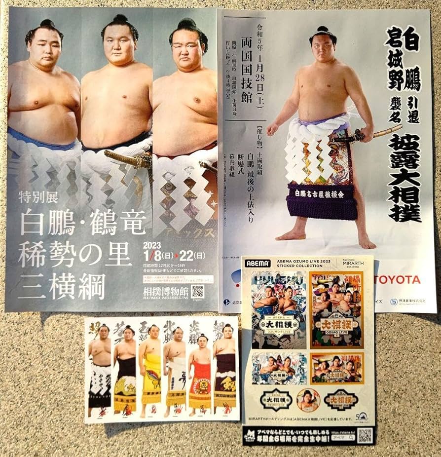 「八百長・中盆・大相撲土俵裏」相撲界の闇3冊セット 八百長・中盆・大相撲土俵裏」相撲界の闇3冊セット - メルカリ