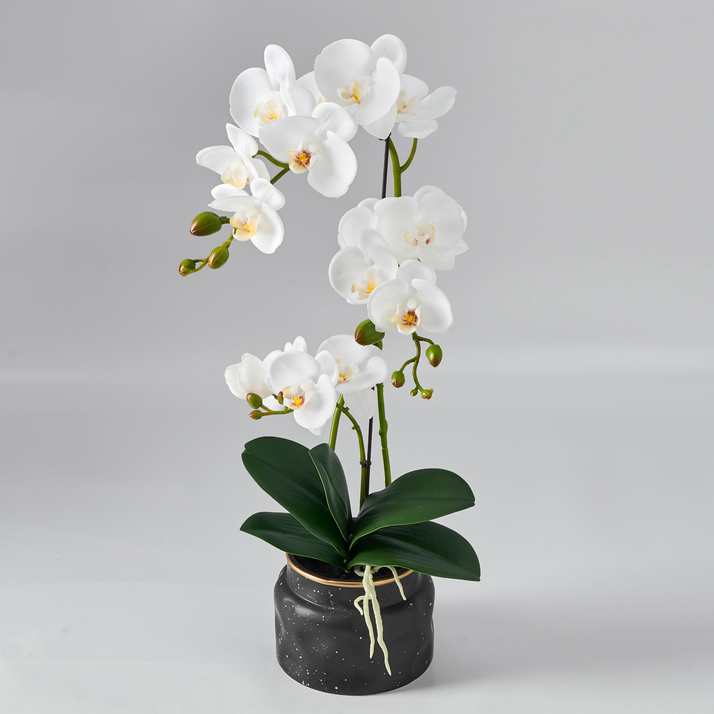 Avoeco Artificial Real Touch Orchid Plant