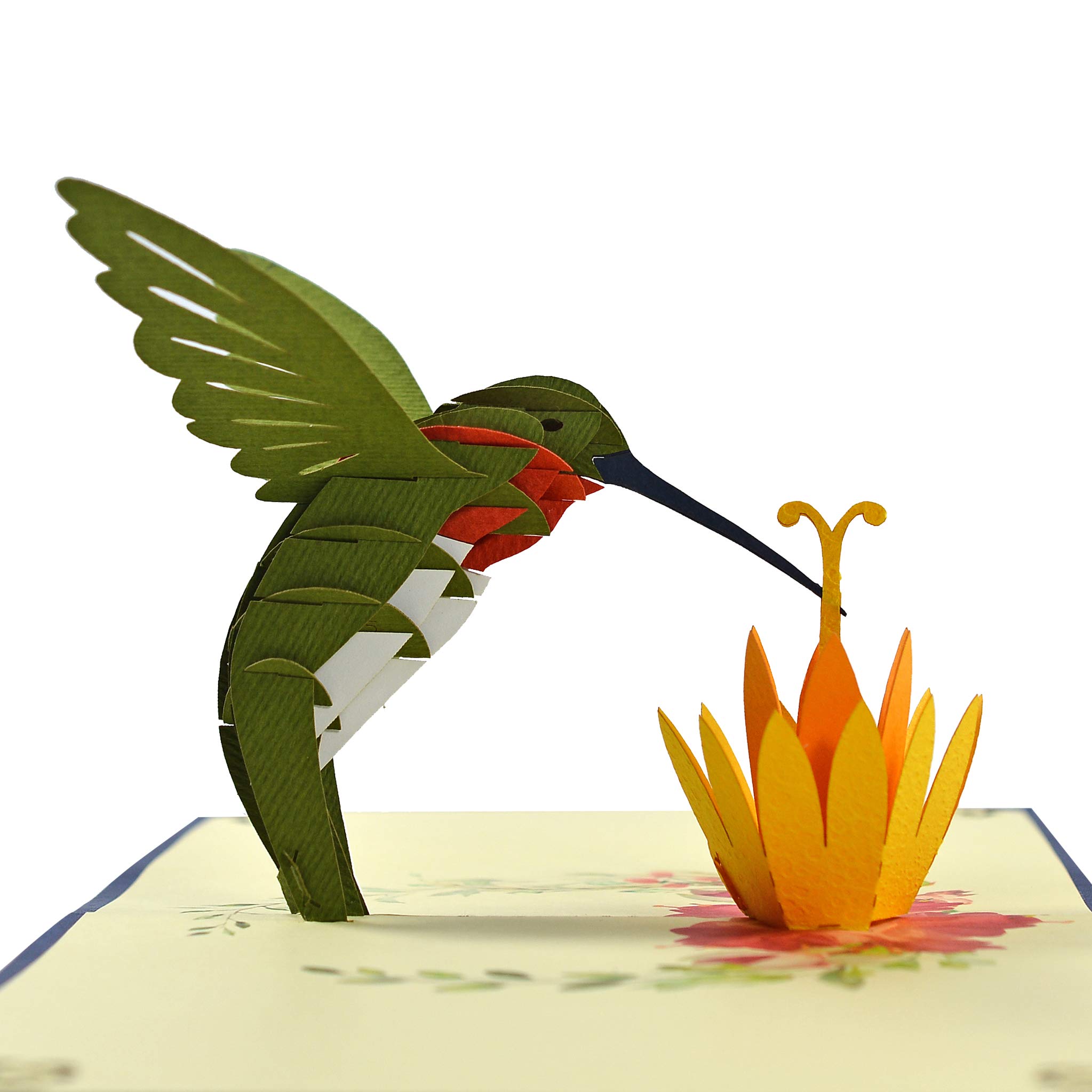 Amazon.com : CUTPOPUP Hummingbird Birthday Card Pop Up, 3D Anna Hummingbird  Pop Up Card- Wonderful Greeting Gift For Grandma, Mom, Mother In Law, Son,  Daughter, Kids On Birthday, Mother's Day, Christmas :