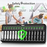 BONAI 16-Bay Battery Charger for AA AAA NiMH Rechargeable Batteries Independent Control with LED Indicator and Standard AC Plug, Suitable for Camera and Toys - Black
