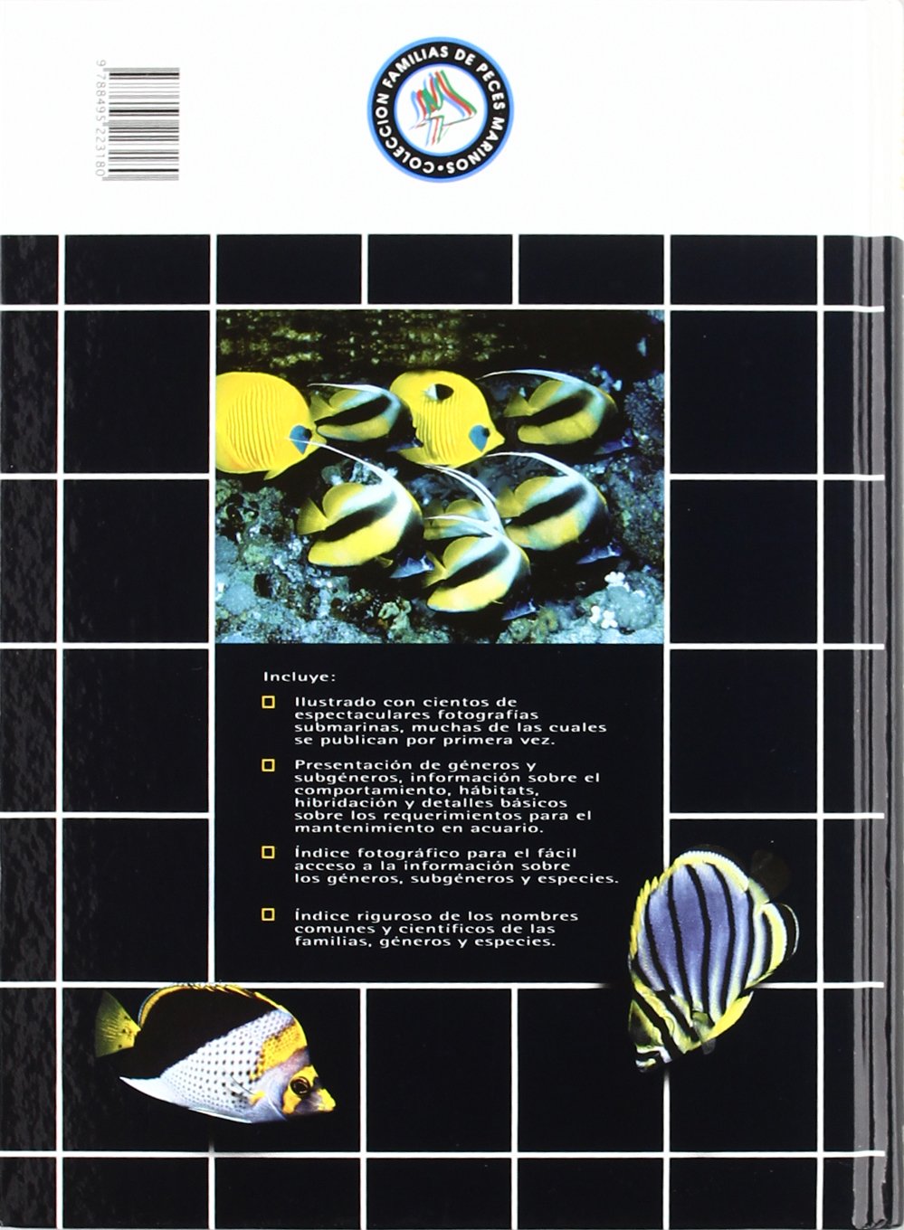 Peces mariposa, peces estandarte y especies emparentadas