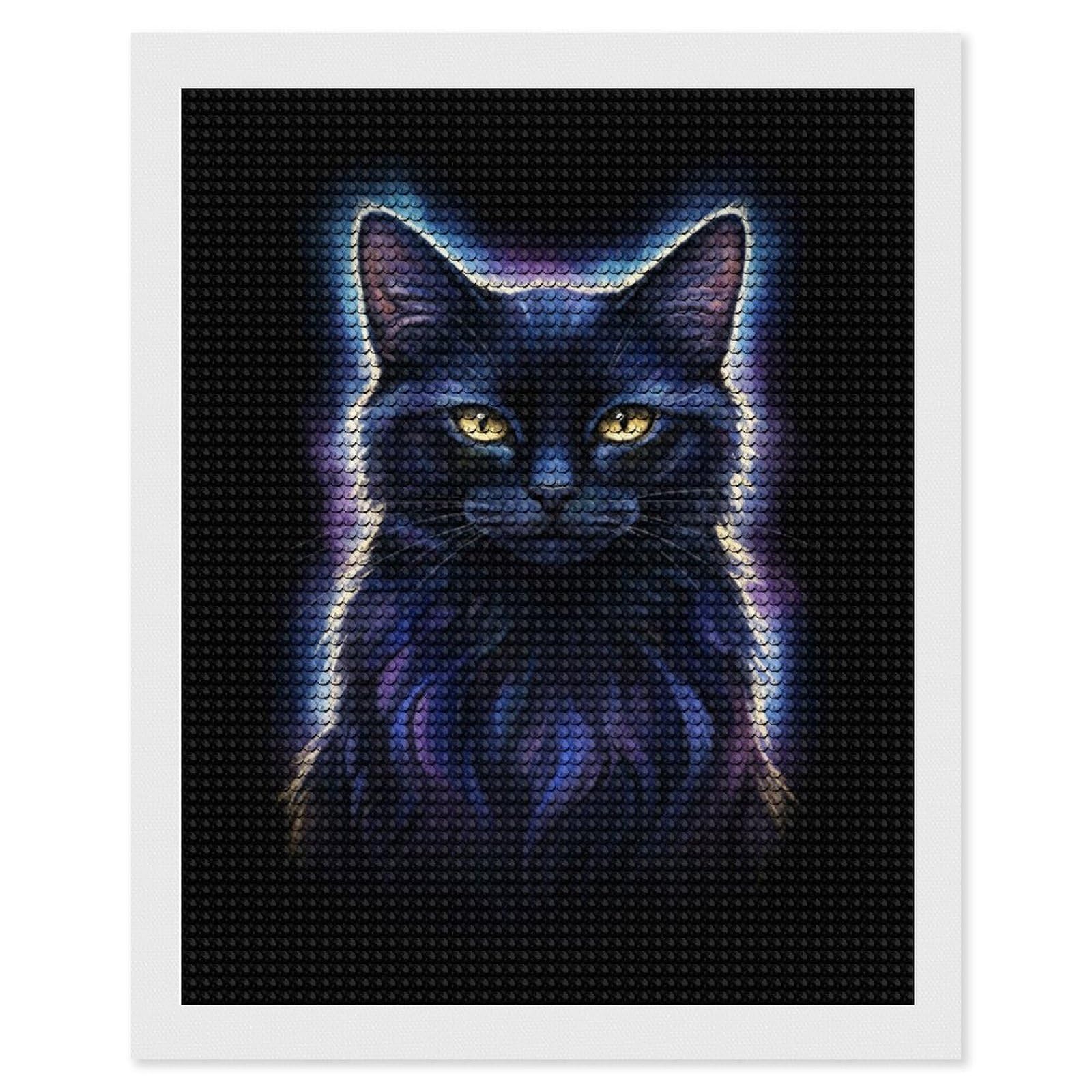 Junmoney Mystical Cosmic Black Cat Diamond Painting Canvas Kit 16"x20", Adhesive Canvas, Living Room Decor, Farmhouse Decor, Winter Craft