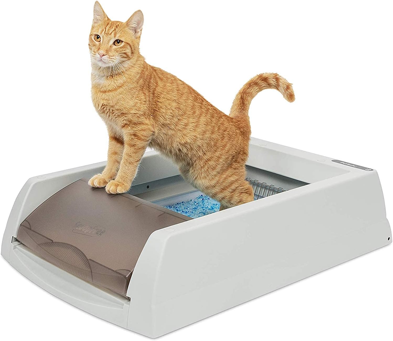 PetSafe(ペットセーフ) 自動猫トイレ スクープフリー PetSafe(ペットセーフ) 自動猫トイレ スクープフリー
