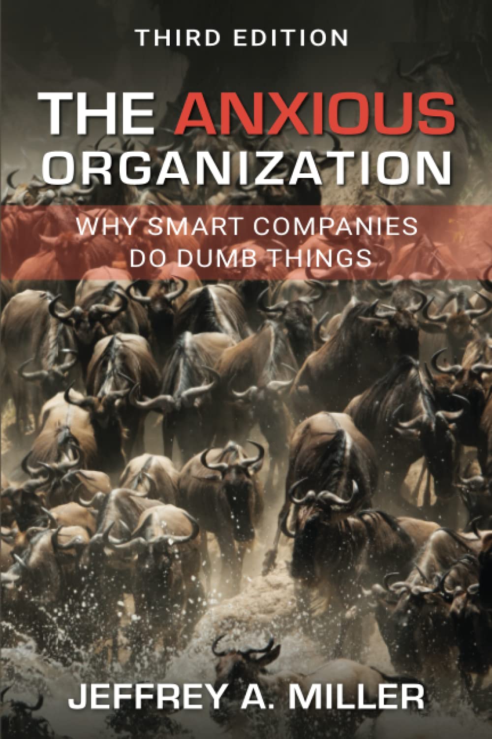 The Anxious Organization: Why Smart Companies Do Dumb Things
