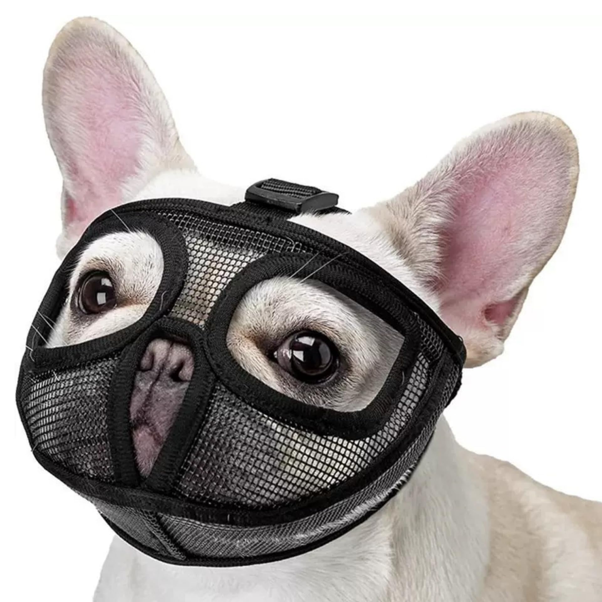 FDIDY Breathable Short Snout Dog Muzzle for French Bulldog, Pug, English Bulldog, Pekingese – Soft Mesh Muzzle with Open Eye Design, Prevents Biting & Chewing (Black, 1 Pack Large)