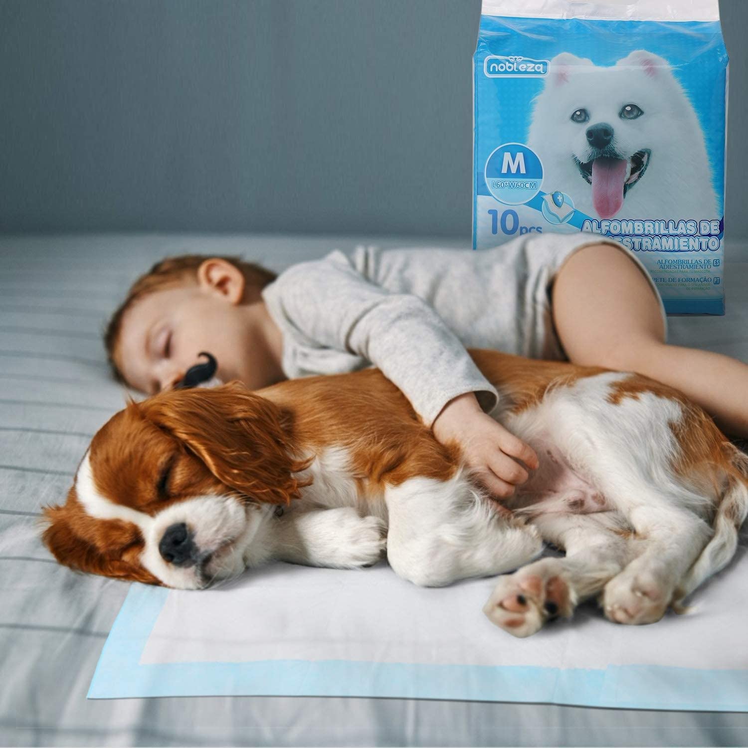 Nobleza 400 Unidades Empapadores Perros Alfombrilla higiénica de Entrenamiento para Perros, Ultraabsorbente 60cm*60cm