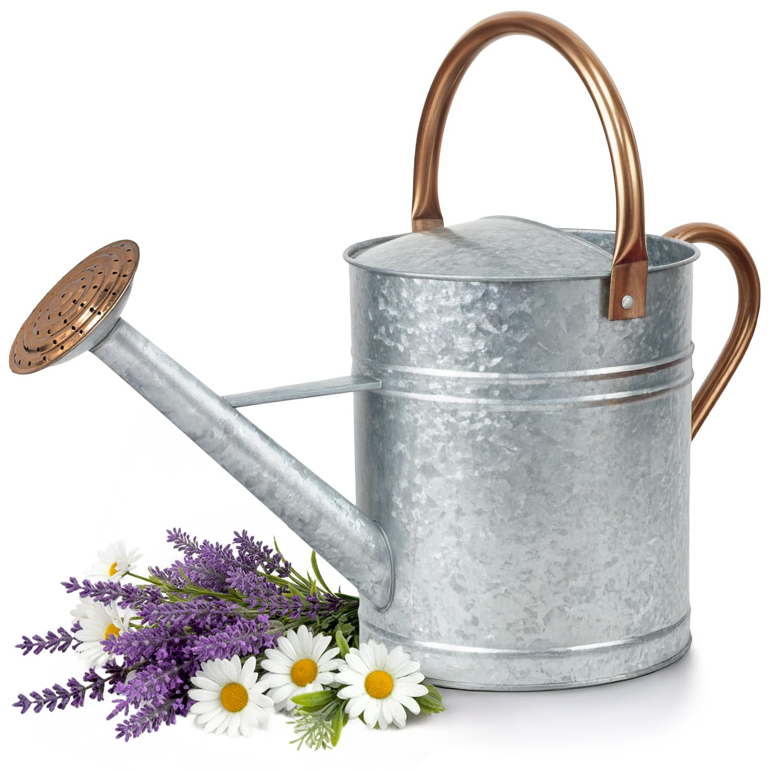 Plexon Large Metal Watering Can 2 Gallon