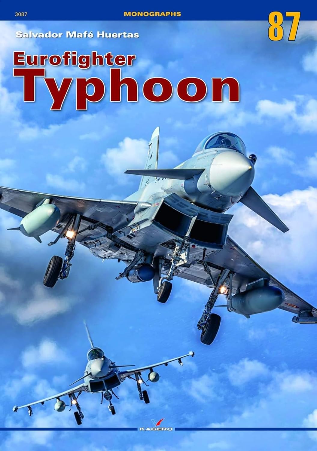 Eurofighter Typhoon (Monographs)