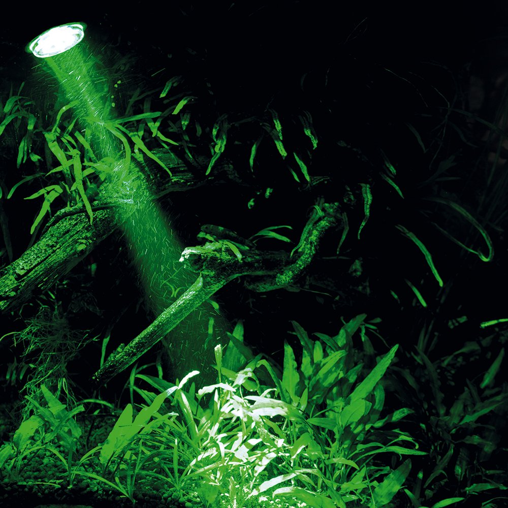 Hobby 00677 Bubble Air Spot « Colour & Moon », LED, avec fonction diffuseur, 1 pièce (1 pièce)