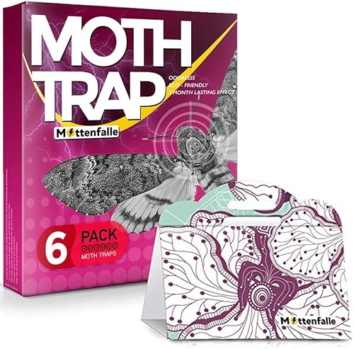 Mottenfalle Clothes Moth Traps paquete de 6 - Trampas para polillas Prime seguras no tóxicas ecológicas con feromonas herramienta adhesiva pegajosa