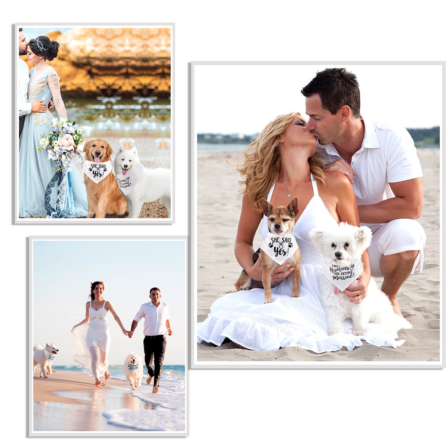 Regalo de compromiso, pañuelo para perro de boda, bufanda para perros pequeños, medianos, grandes, 2 unidades