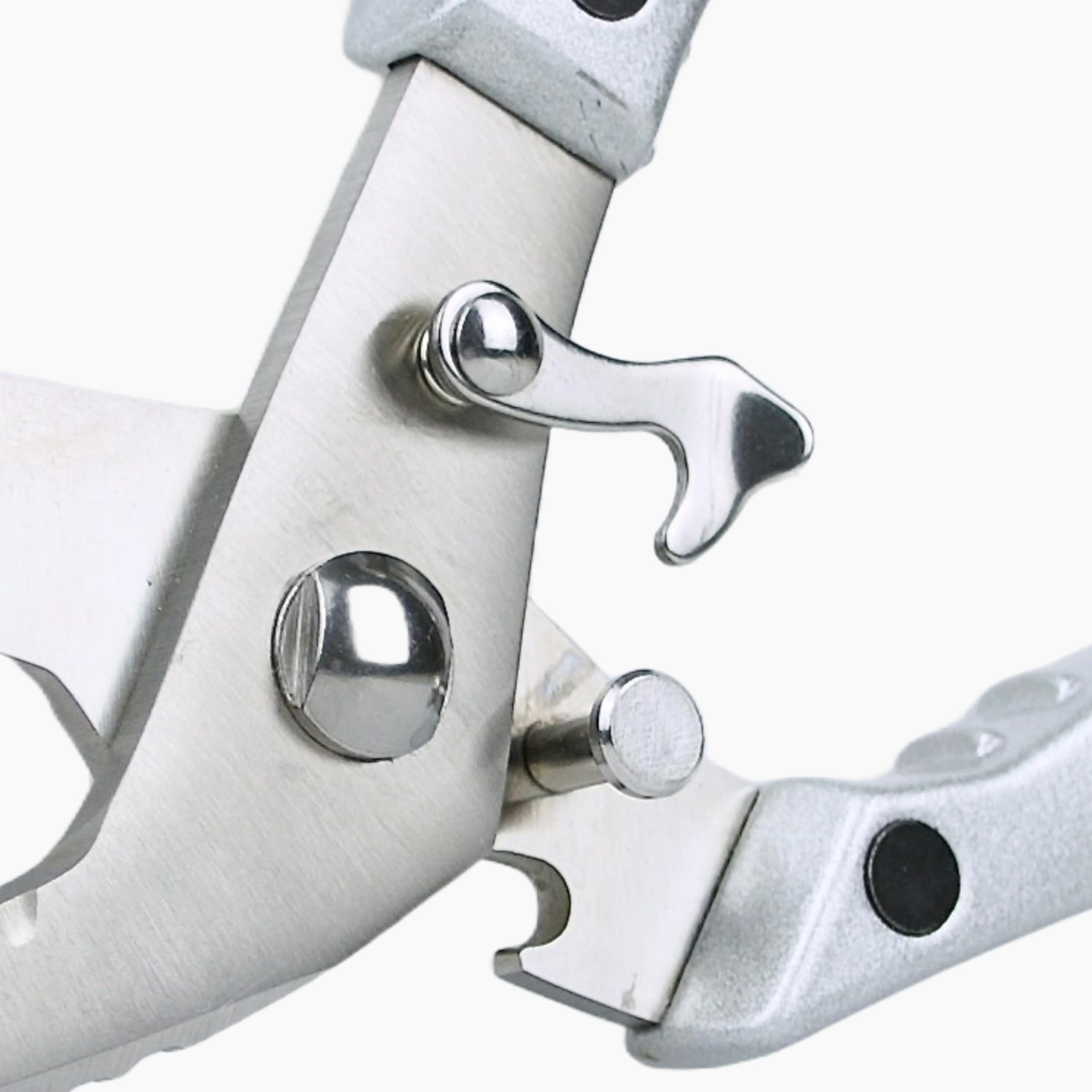 Cookery Tijeras para aves de corral Premium (plata)