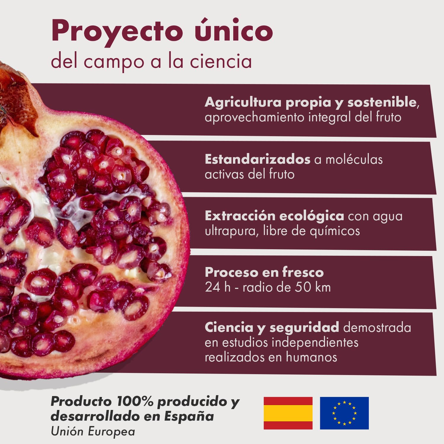 Granatum Plus - Punicalagina Plus - Complemento Alimenticio - Extraído de Granadas - Suplemento Antioxidante - Digestión y Metabolismo - Cuidado de Piel - Producido en España (3 Cajas de 28 cápsulas)
