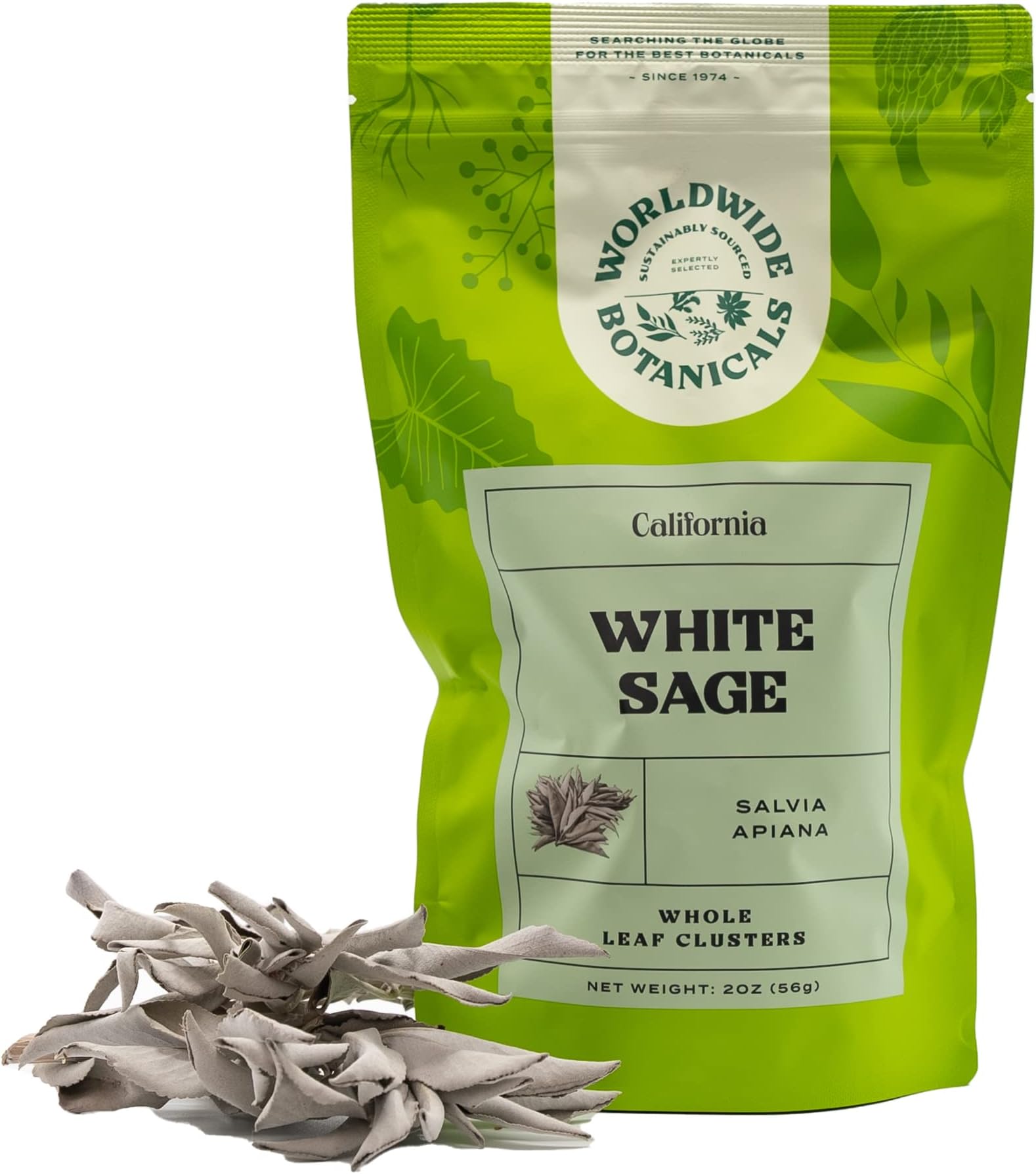 White Sage – 100% Pure California White Sage Clusters – Sustainably Cultivated, 2 Ounces