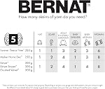 Bernat Velvet Misty Gray Yarn - 2 Pack of 300g/10.5oz - Polyester - 5 Bulky - 315 Yards - Knitting/Crochet