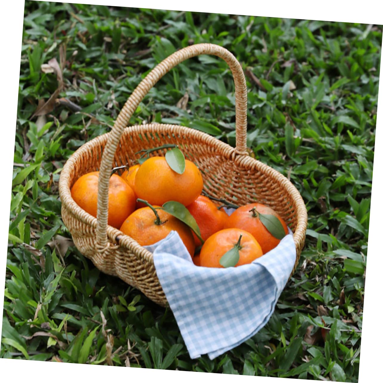 BESPORTBLE cestino della spesa cestino per la raccolta delle bacche ciotole cestino per picnic cestino per uova intrecciare il cesto delle uova cestino da Light Brown Riutilizzabile