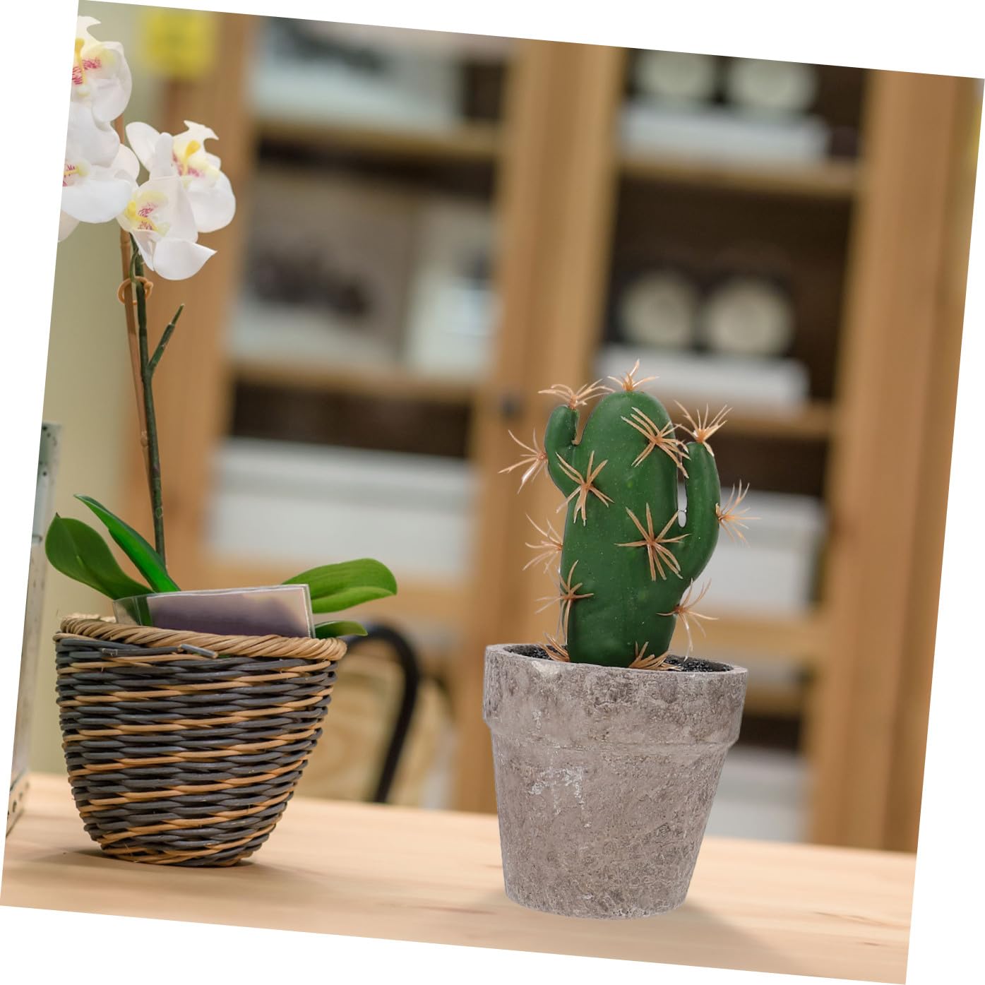 Baluue Set di 4 Piante Finte Succulente in Polpa e Plastica, Decorazione da Tavolo Verde per Cucina e Camera, Facile Cura Aspetto Naturale e Fresco