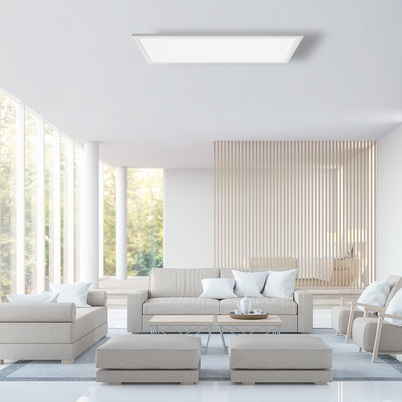 IMPTS 30x60cm LED Deckenleuchte Flach Lampe Wohnzimmer LED Panel