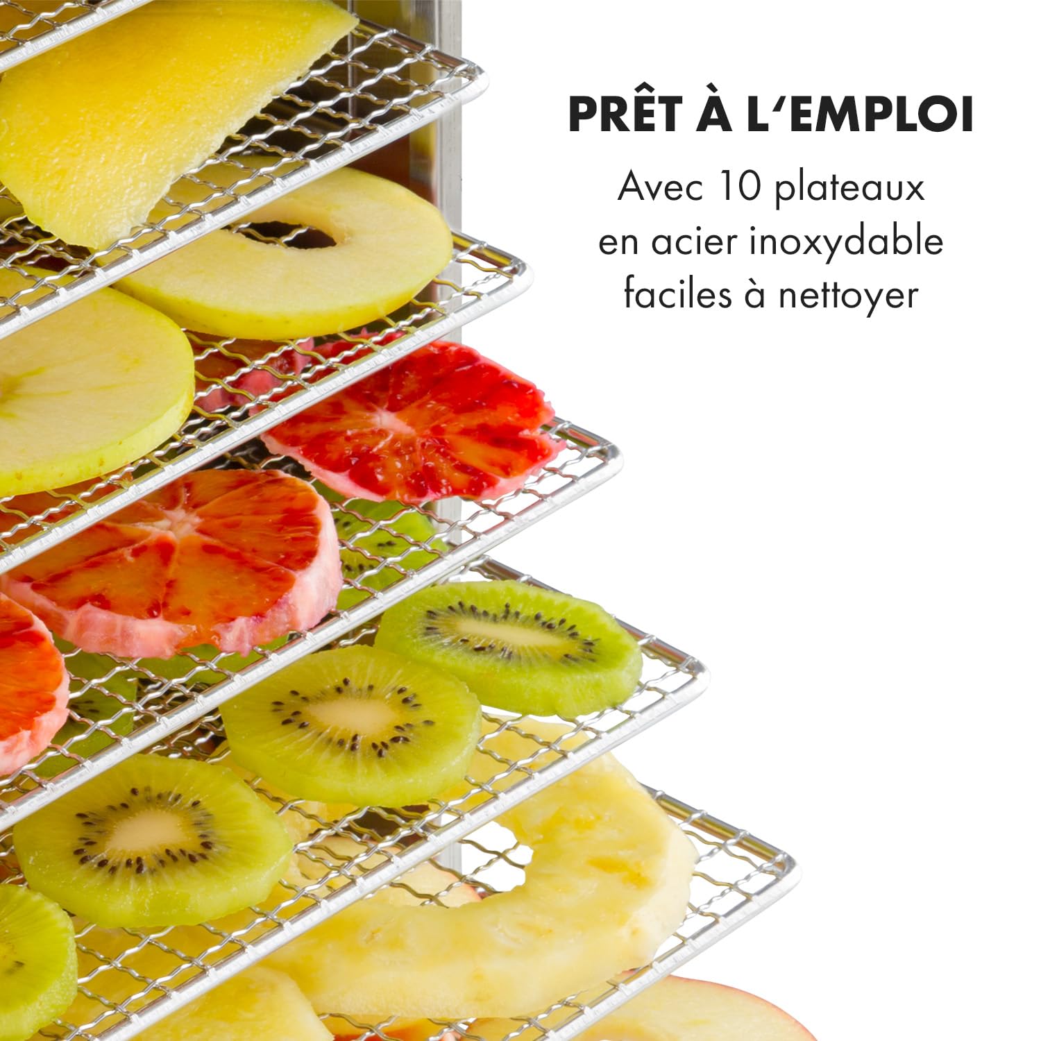 KLARSTEIN Captain Jerky 110, Déshydrateur,1000 W,30-90 °C, minuterie 24 h, sans BPA, commande tactile, 10 plateaux, porte en verre, déshydrateur en inox pour fruits, légumes, bac collecteur - argent