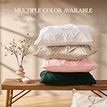 Andency Ensemble de Comforter Reine Blanc(90x90Inch), 3 pièces de literie mignon Pinch Pleat & Ensembles pour lit Queen, Soft Lightweight Fluffy Down Ensemble de lits Alternative Toutes saisons