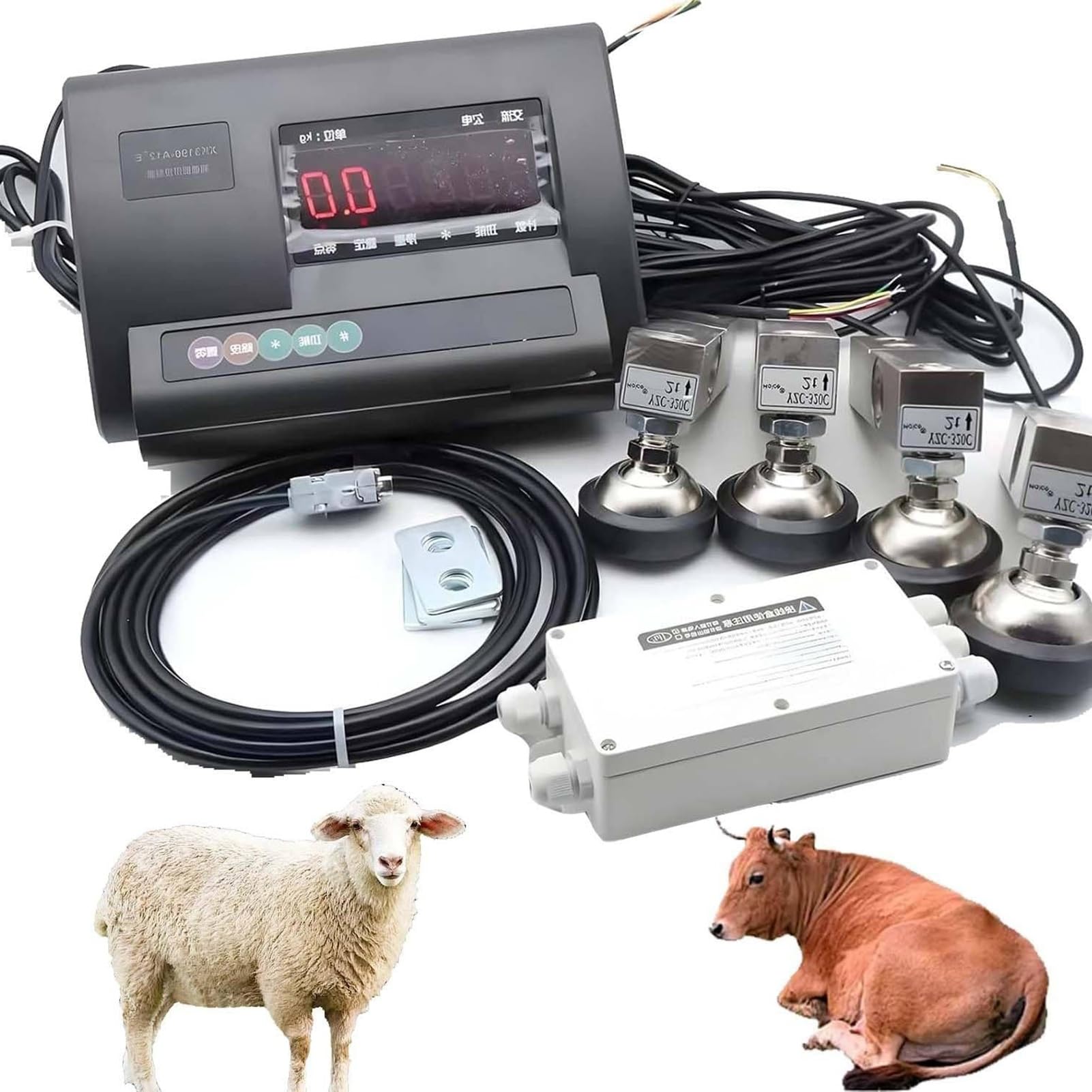 Kit de pesage pour bétail 5T idéal pour simplifier la routine de votre ferme