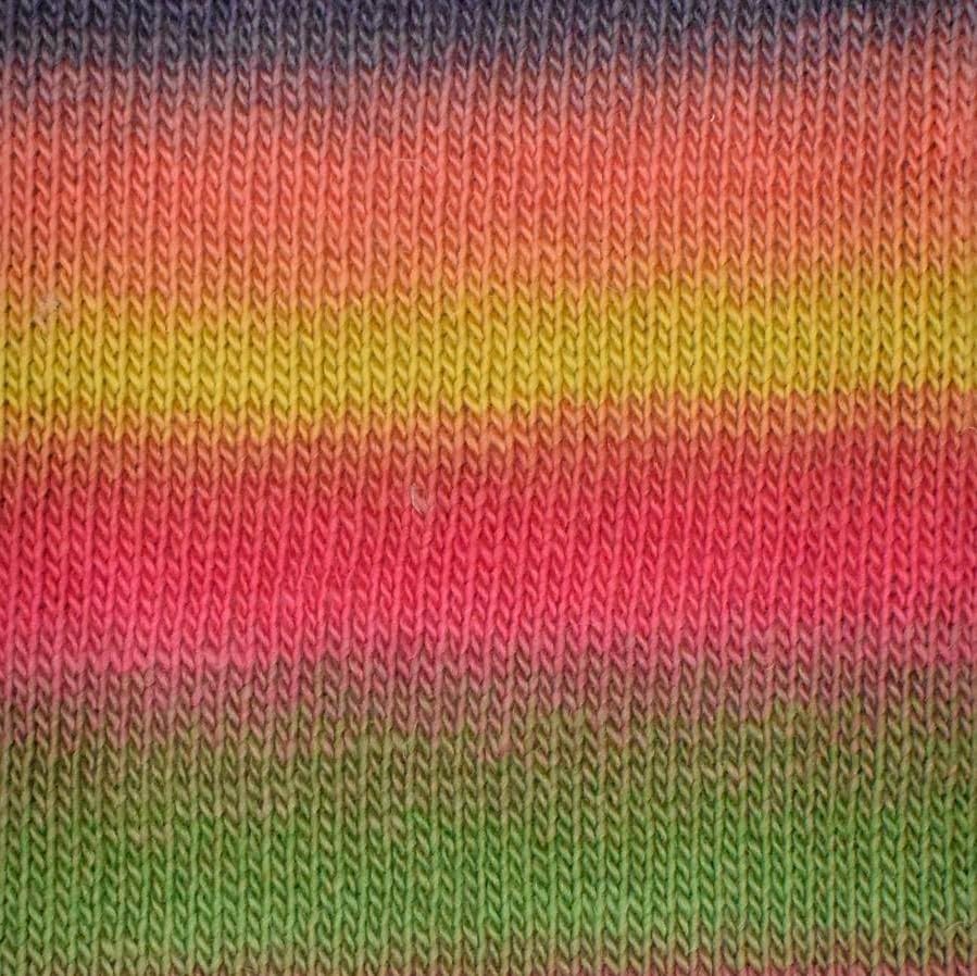 Louisa HardingAmitola 156 Dahlia