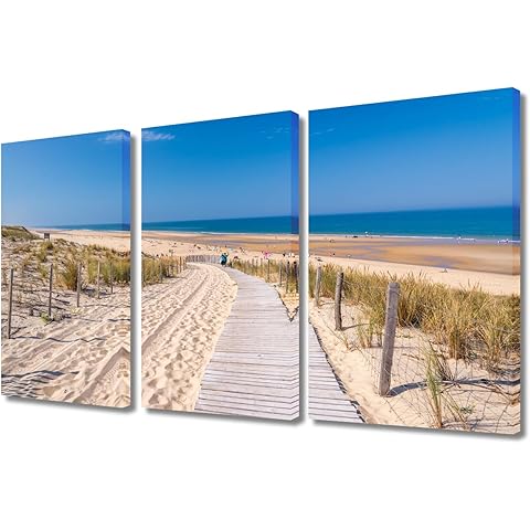 TUMOVO 3 Panel Landscape Wall Art for Living Room, Atlantic Ocean, Gironde Landscape, France Picture Prints on Canvas for Home Office Wall Decorations, Beach Artwork Framed Ready to Hang, 36