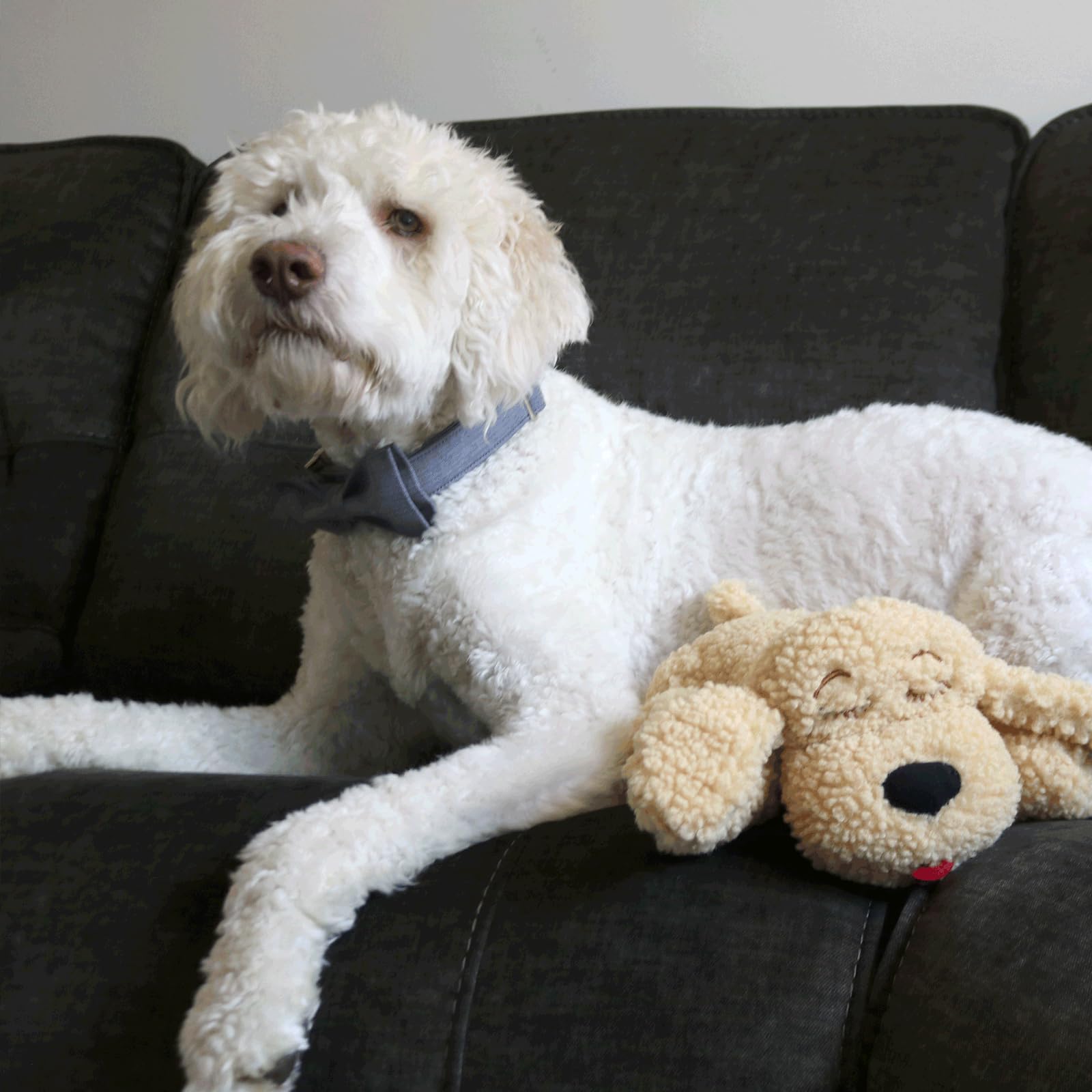 Snuggle Puppy Plus Dog Toys with 3 Heat Packs & New Motion Activated RealFeel Heartbeat. Puppy Toys for Anxiety Relief Calming Aid - Image 2