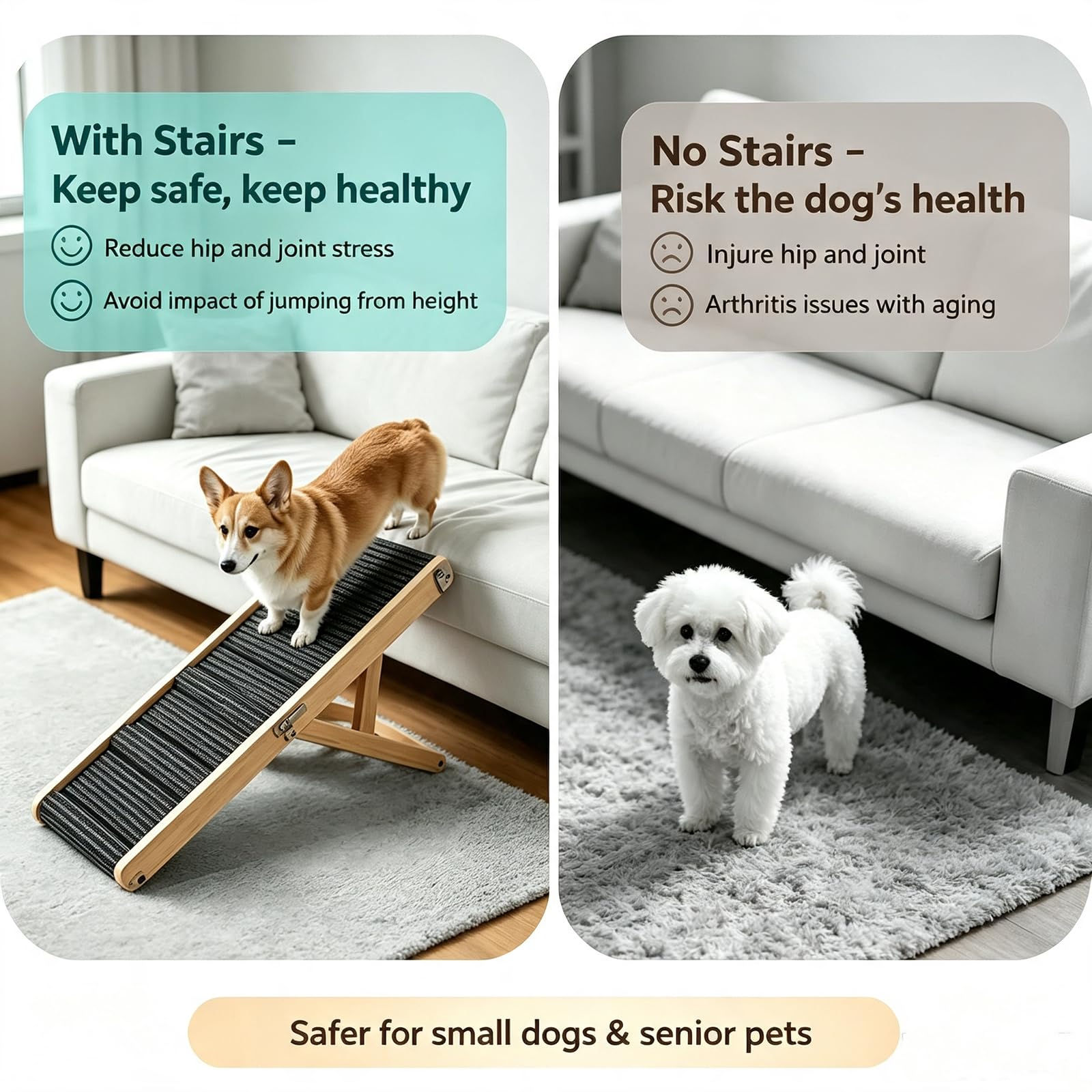 NEWFUN Rampe pour Chien, Escalier pour Petits Chiens et Chats, équipé de Tapis Antidérapants, Adapté aux Canapés Bas, Réglable en Hauteur et Pliable